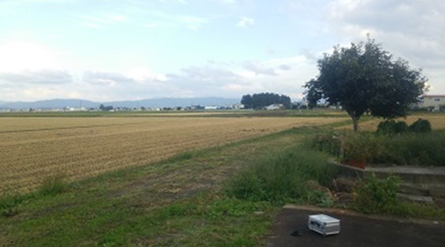 One scene from microtremor observation in the field