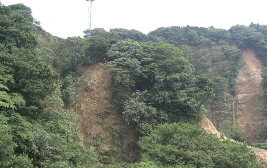 静岡市清水区の自然斜面の崩落