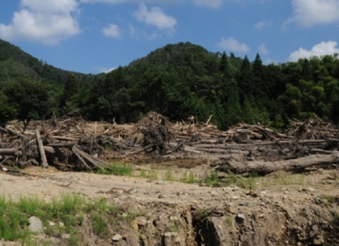 先 大戸地区の被害状況