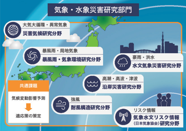 研究分野